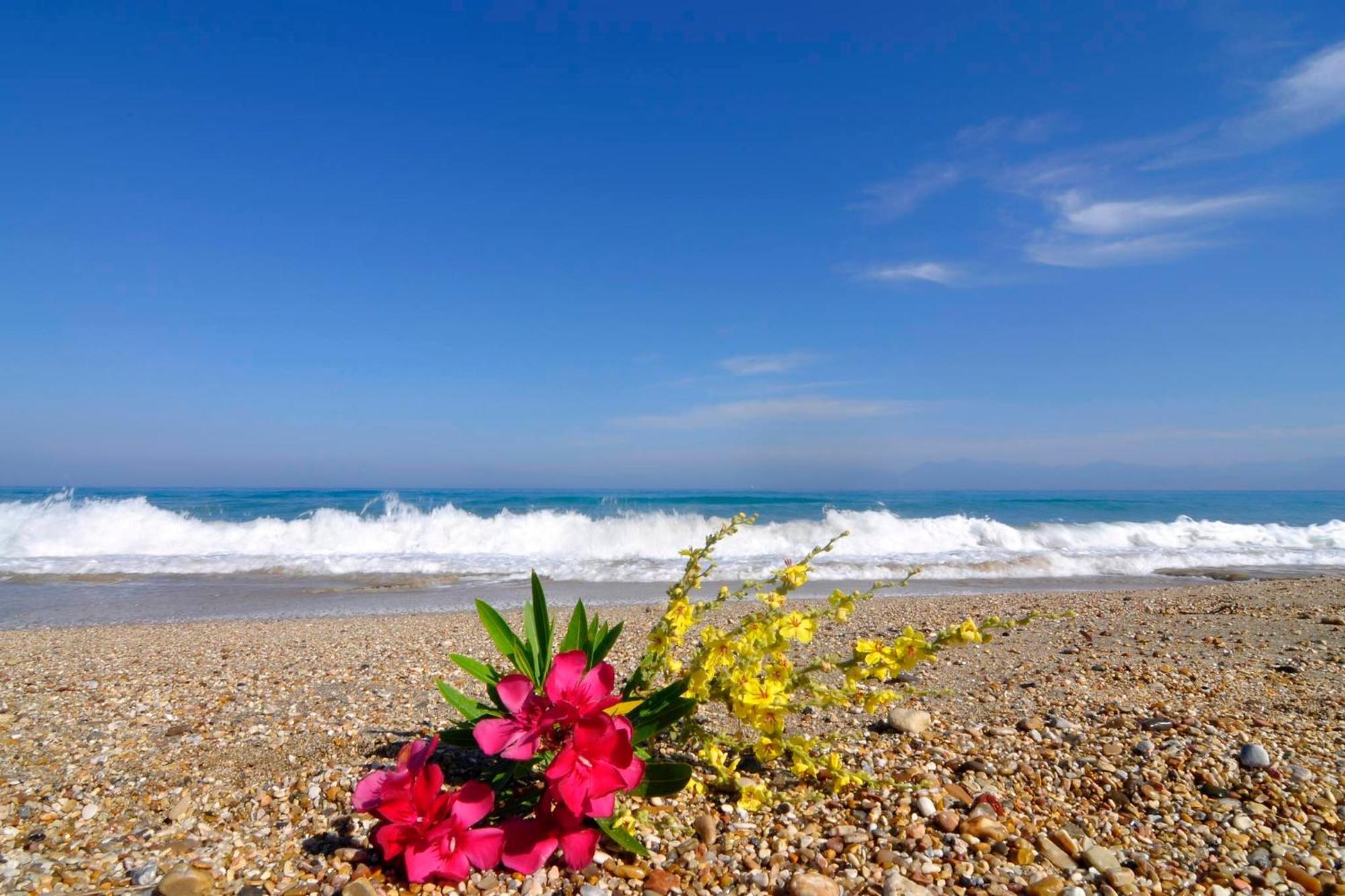 Almyra Beach House Corfu Almiros Beach Eksteriør bilde